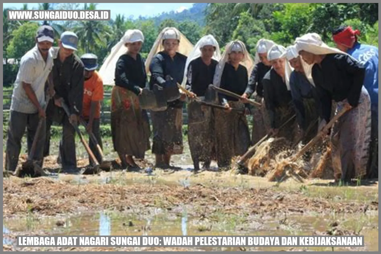 Lembaga Adat Nagari Sungai Duo