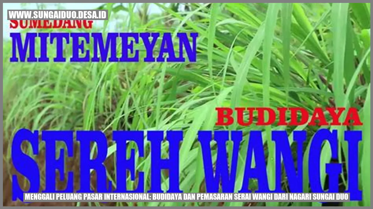 Serai Wangi