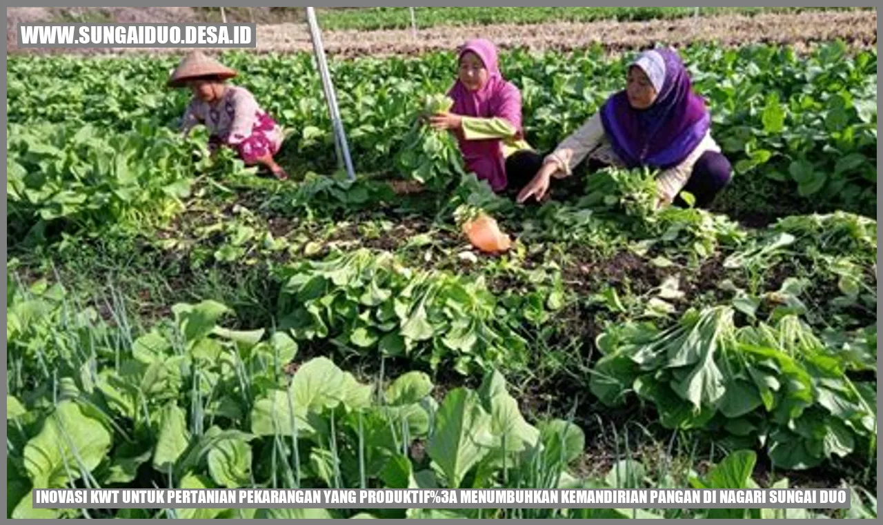Inovasi KWT untuk Pertanian Pekarangan yang Produktif: Menumbuhkan Kemandirian Pangan di Nagari Sungai Duo