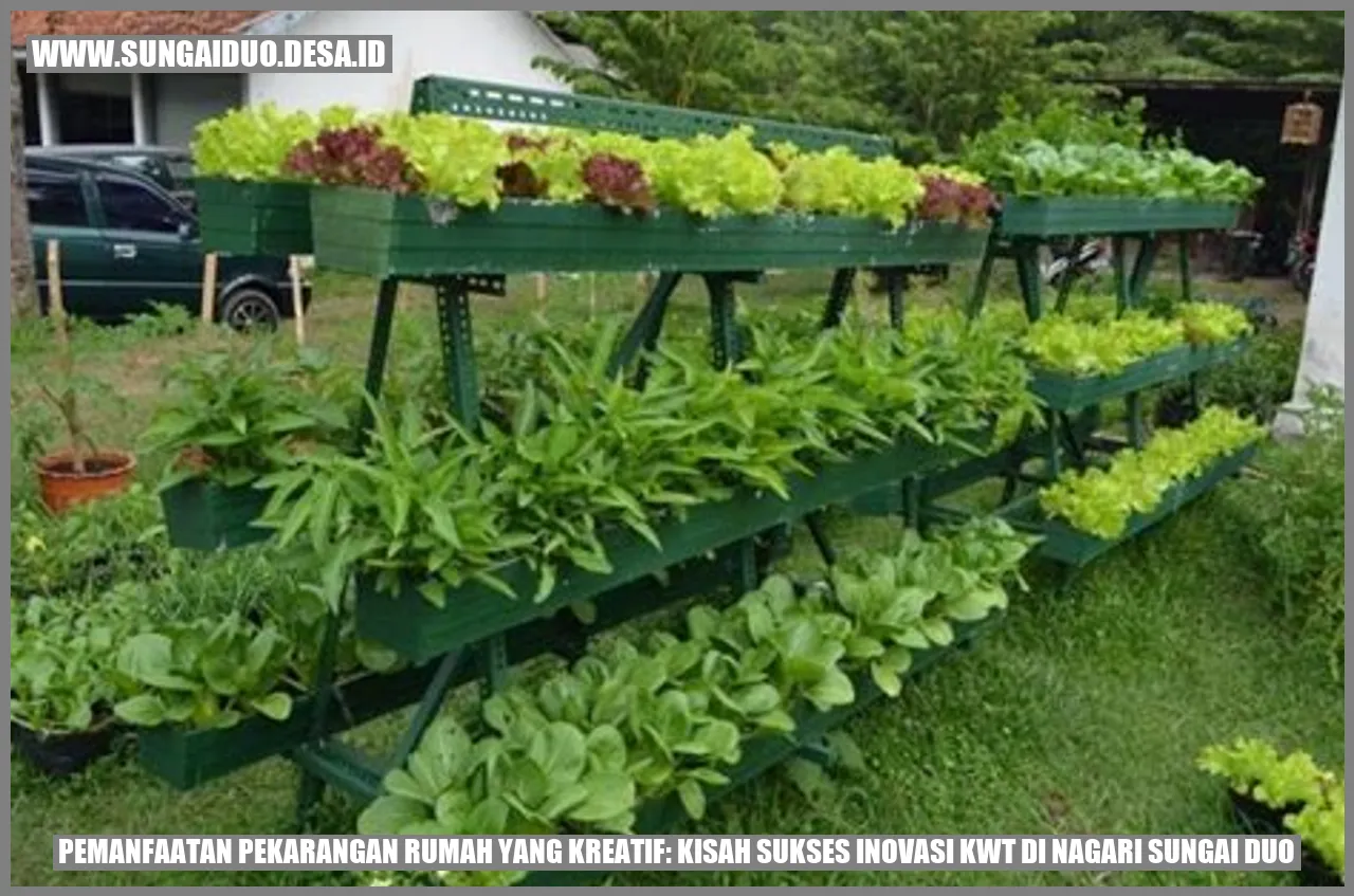 Pemanfaatan Pekarangan Rumah yang Kreatif: Kisah Sukses Inovasi KWT di Nagari Sungai Duo