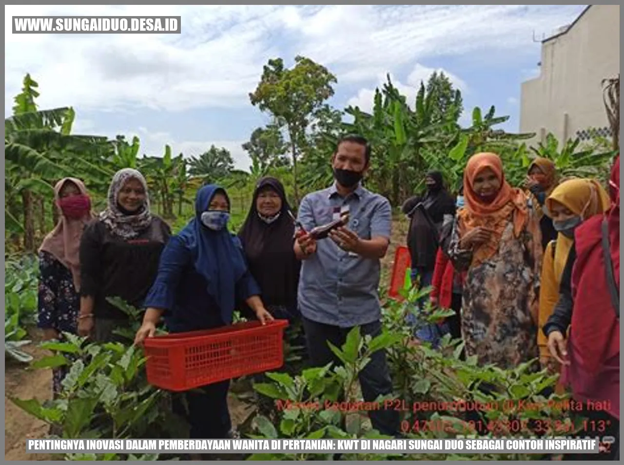 Gambar Inovasi dalam Pemberdayaan Wanita di Pertanian