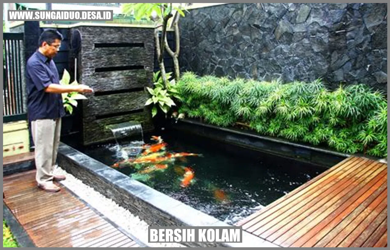 bersih kolam