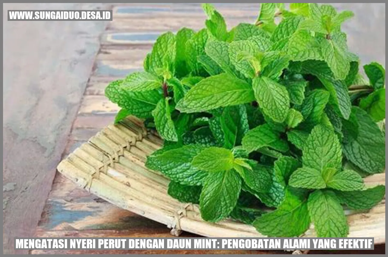 Daun Mint