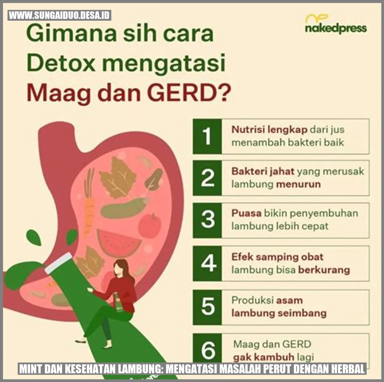 Mint dan Kesehatan Lambung: Mengatasi Masalah Perut dengan Herbal