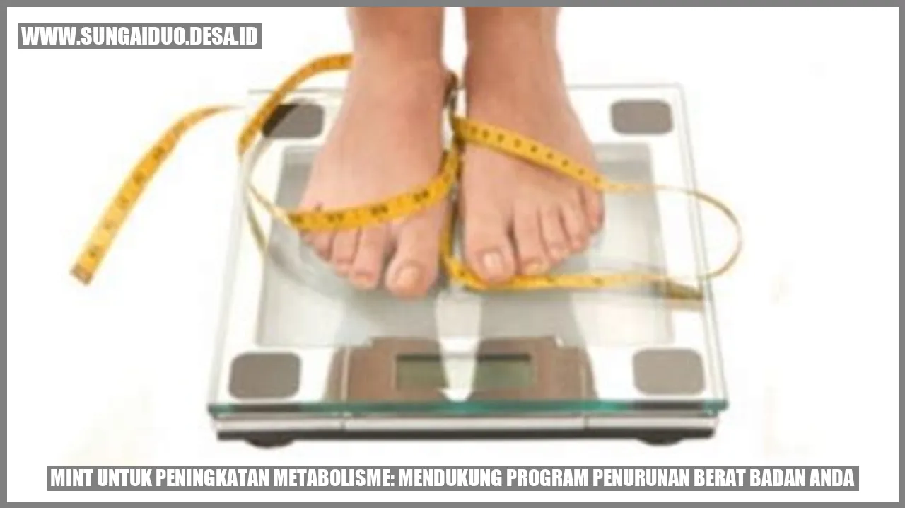 Gambar Mint untuk Peningkatan Metabolisme: Mendukung Program Penurunan Berat Badan Anda