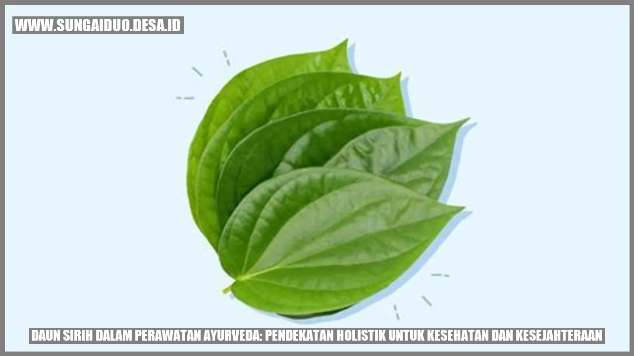 Daun Sirih dalam Perawatan Ayurveda: Pendekatan Holistik untuk Kesehatan dan Kesejahteraan