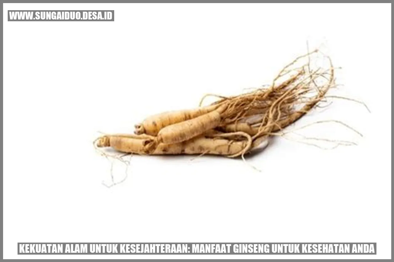 Ginseng