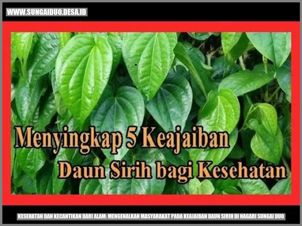 Peradangan Kulit