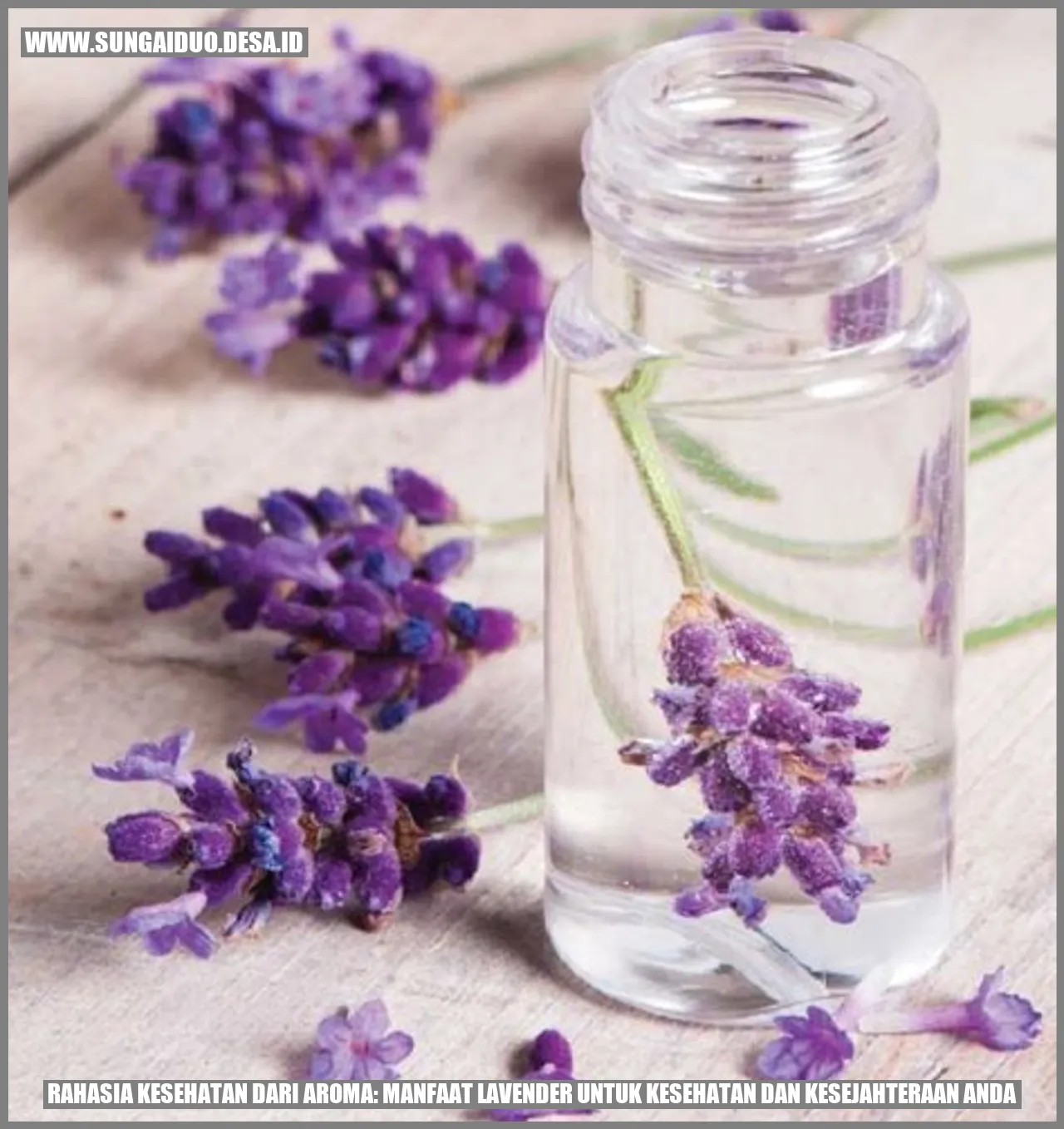 Lavender