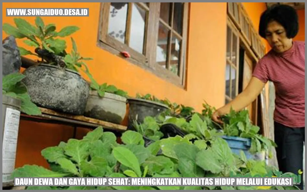 Daun Dewa dan Gaya Hidup Sehat: Meningkatkan Kualitas Hidup Melalui Edukasi