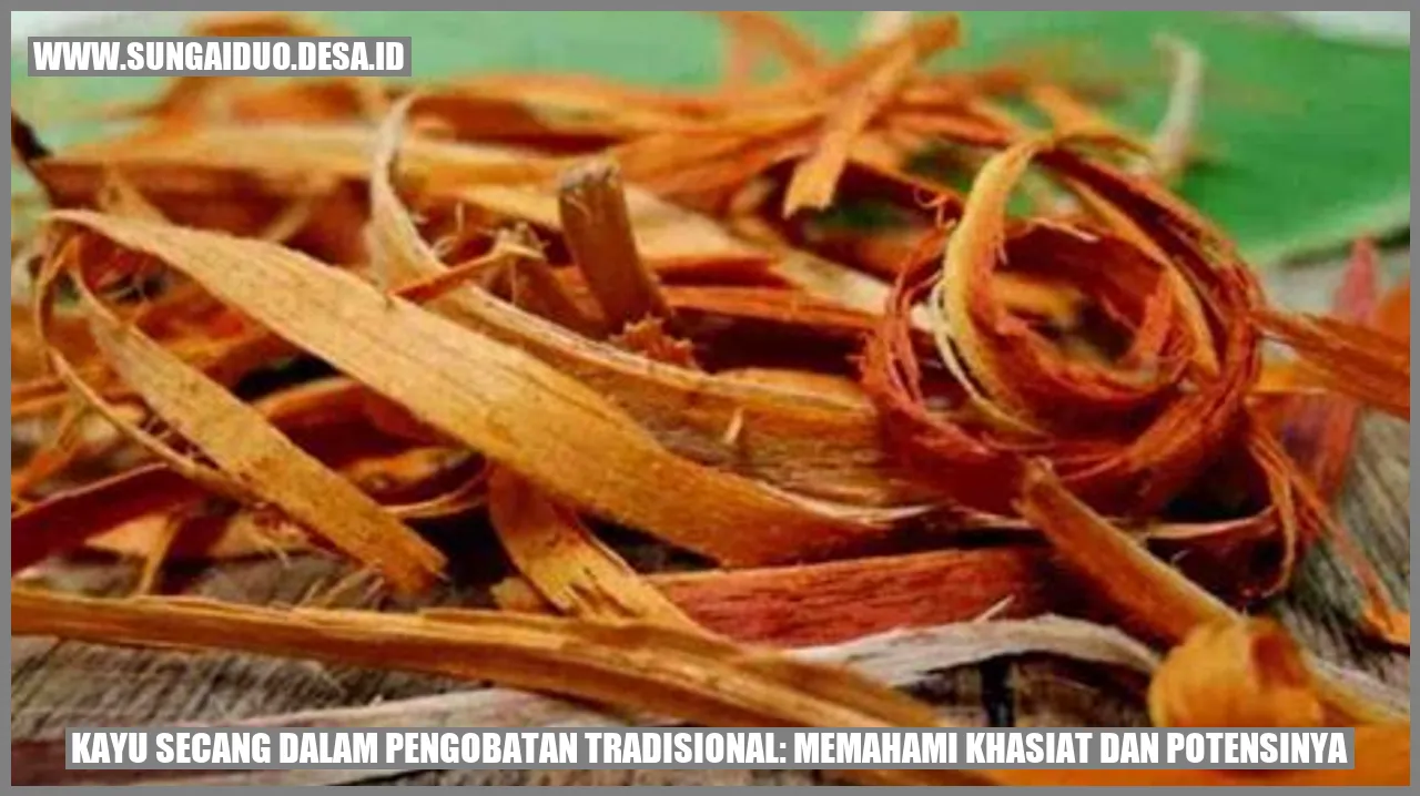Gambar Kayu Secang dalam Pengobatan Tradisional: Memahami Khasiat dan Potensinya
