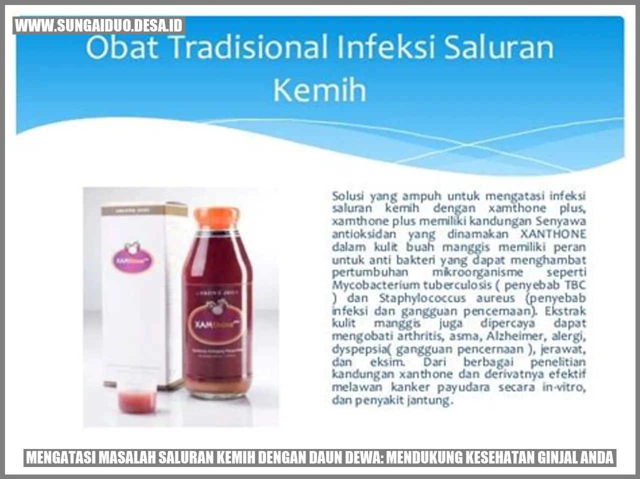 Saluran kemih