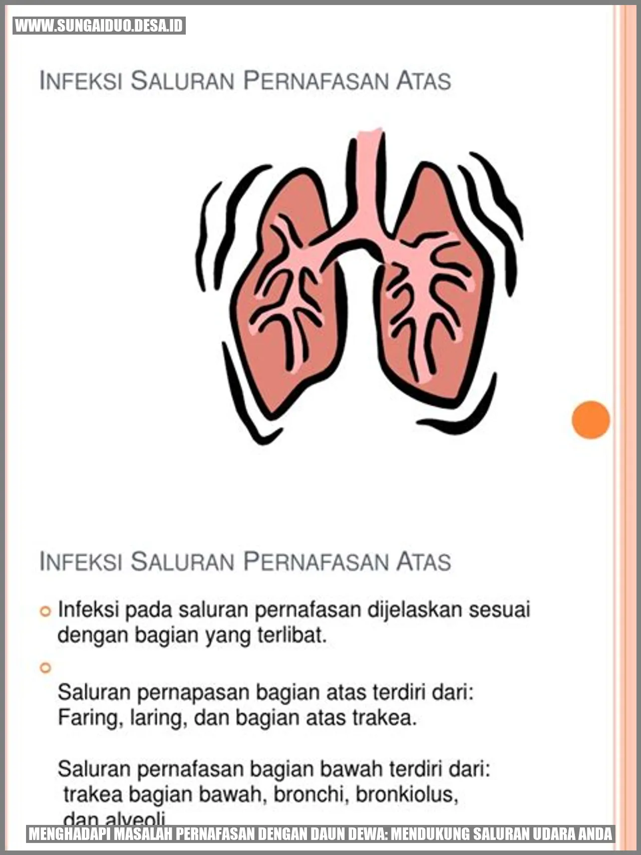 Daun Dewa
