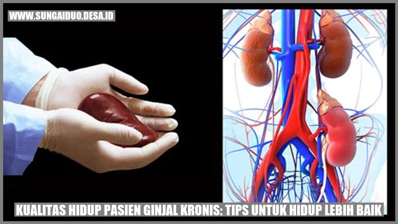 Gambar Ginjal Kronis