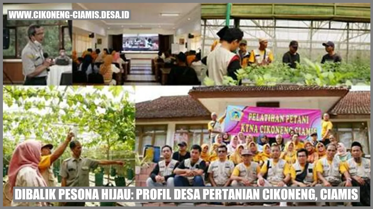 Gambar Desa Cikoneng
