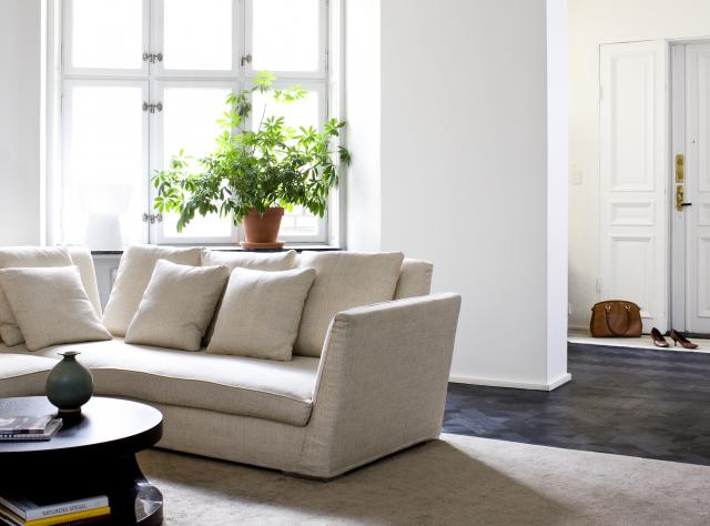 Menghadirkan Keseimbangan Feng Shui dalam Hunian Anda: Tips dan Panduan Praktis