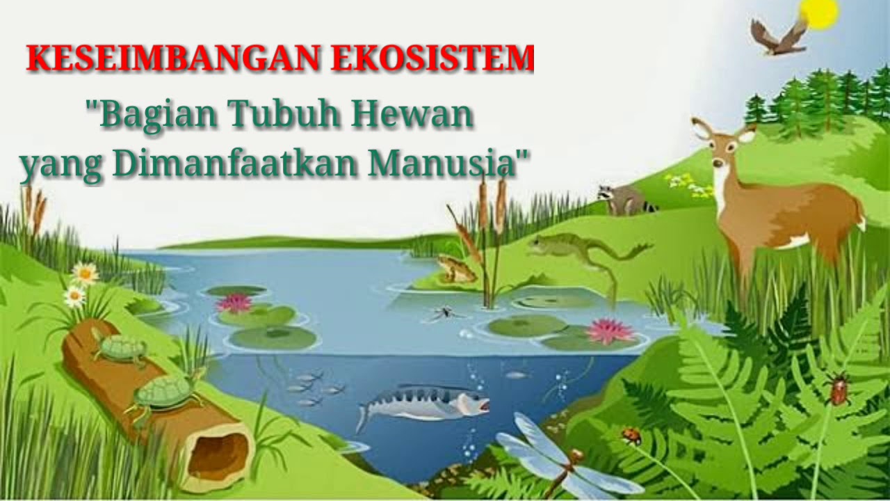 Kemitraan Desa dan Pihak Eksternal: Mewujudkan Desa Ramah Anak