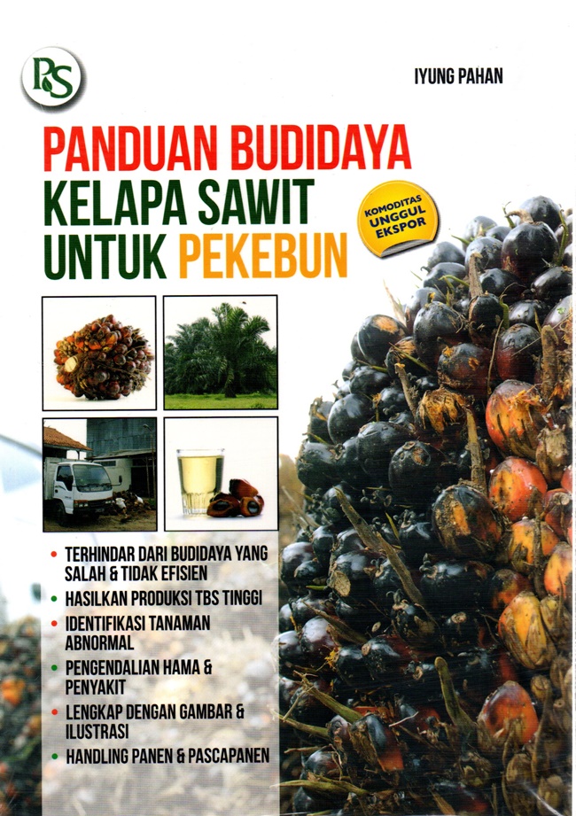Budidaya Tanaman Kelapa: Membangun Bisnis Berkelanjutan dari Biji hingga Batok