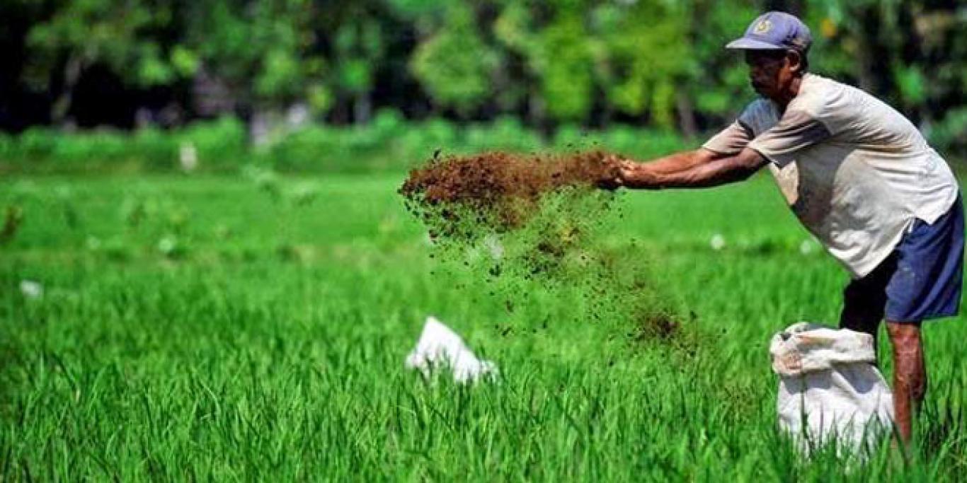 Pertanian Organik: Solusi Masa Depan dalam Produksi Tanaman Pangan
