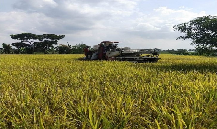 Meningkatkan Daya Saing Produk Pertanian Lokal Desa Cikoneng