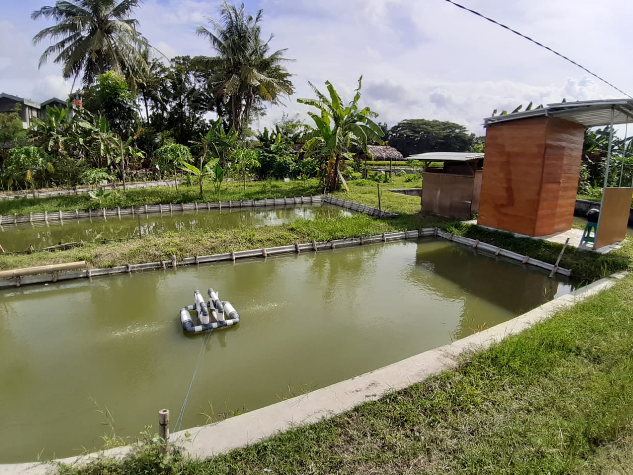 Inovasi Terkini dalam Pemeliharaan Ikan yang Dapat Diterapkan di Desa Cikoneng