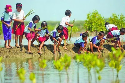 Peran Masyarakat dalam Pelestarian Sumber Daya Alam di Desa Cikoneng