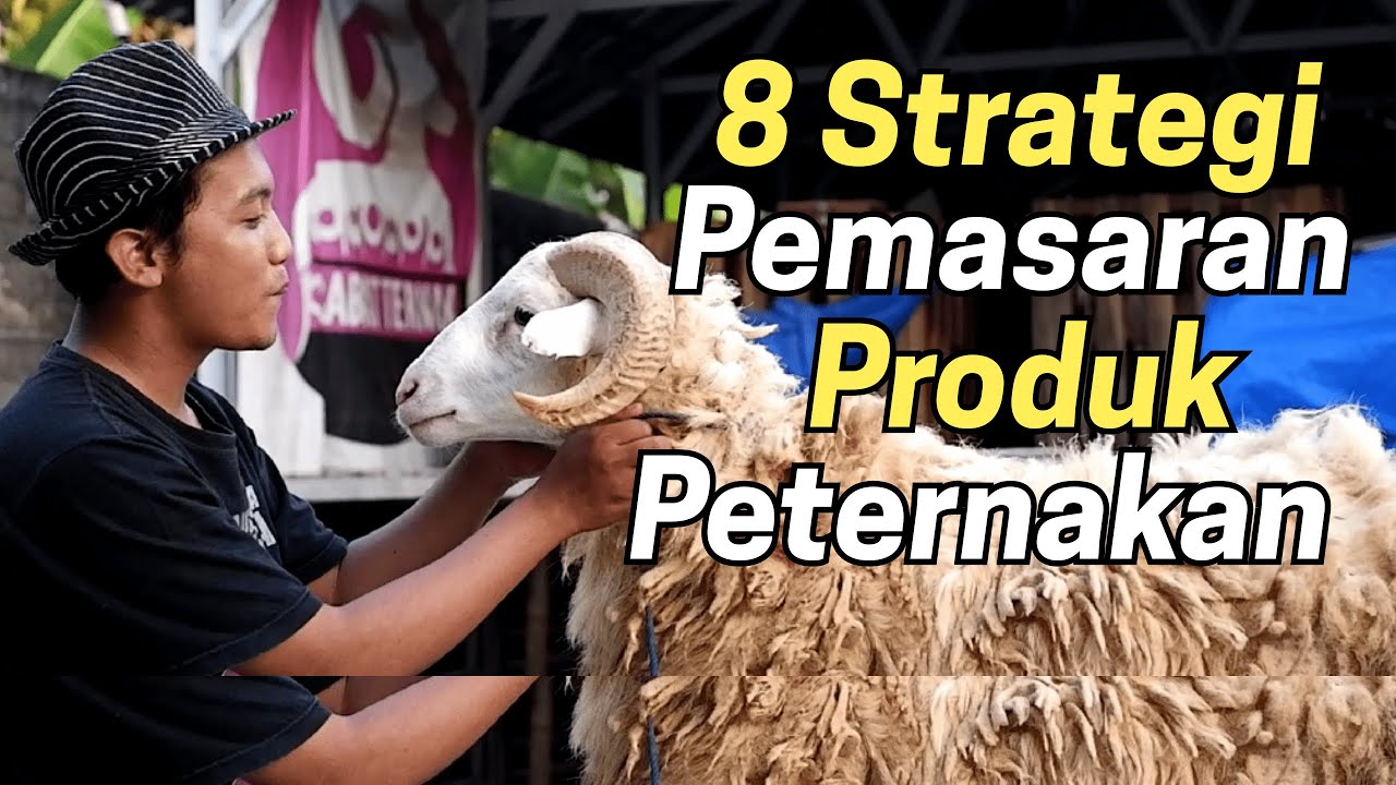 Strategi Pemasaran Produk Peternakan Ikan di Desa Cikoneng