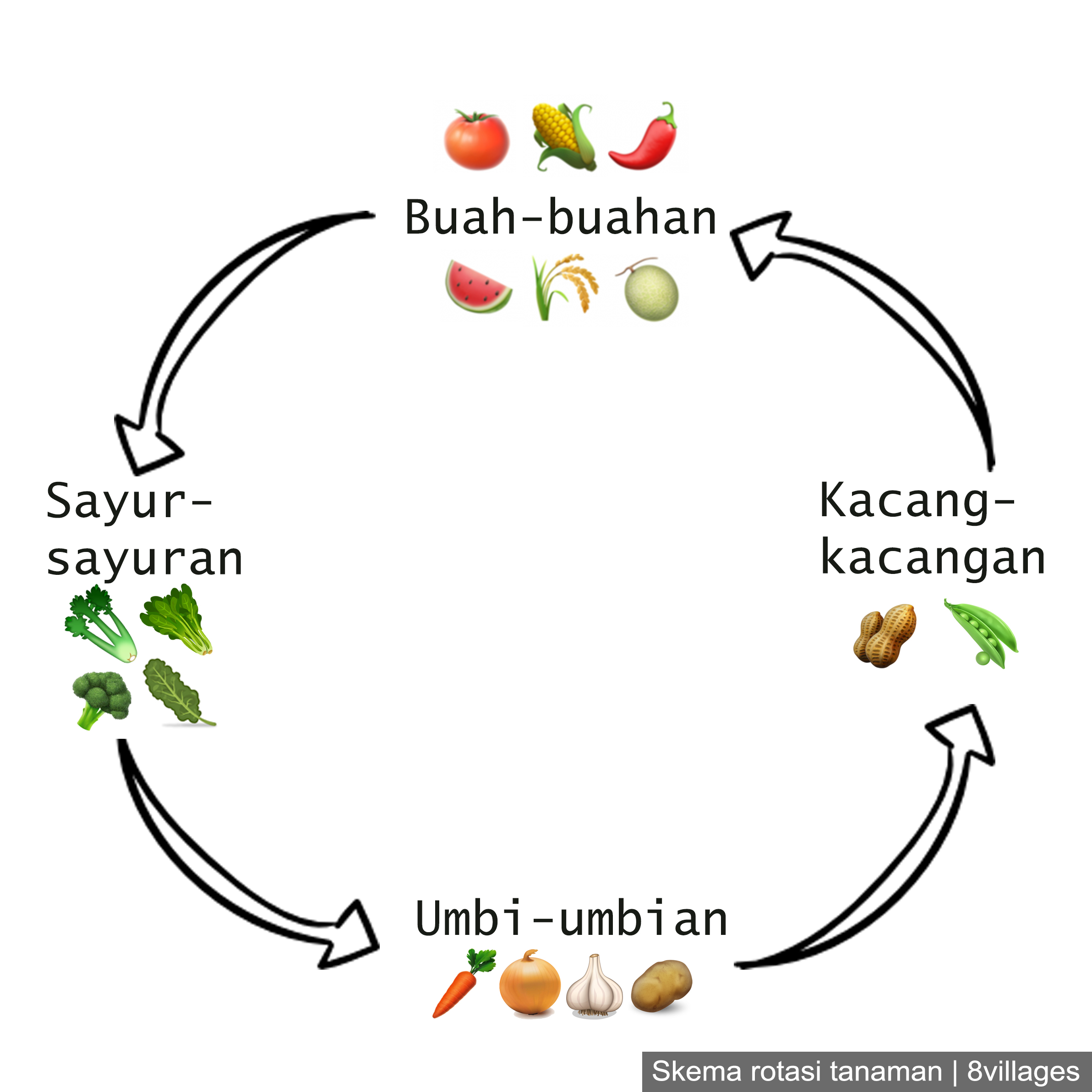 Pentingnya Rotasi Tanaman dalam Meningkatkan Kesuburan Tanah di Desa Cikoneng