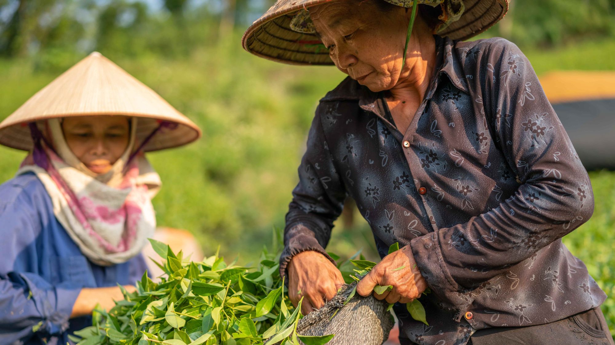 Mengenal Potensi Pasar Ternak Desa Cikoneng sebagai Peluang Bisnis yang Menjanjikan