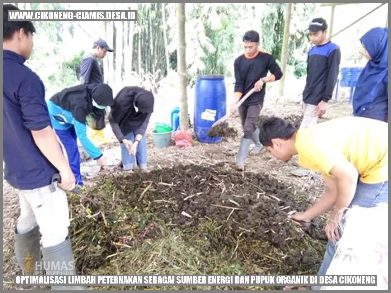 Meningkatkan Produktivitas Sistem Peternakan di Desa Cikoneng Kabupaten Ciamis