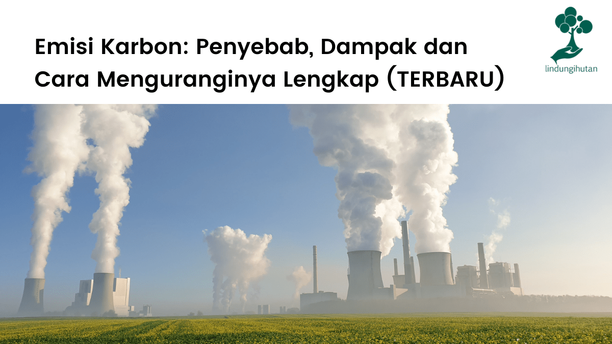 Mengurangi Emisi Karbon Melalui Penggunaan Transportasi Berbagi: Menjelajah Kota dengan Ramah Lingkungan