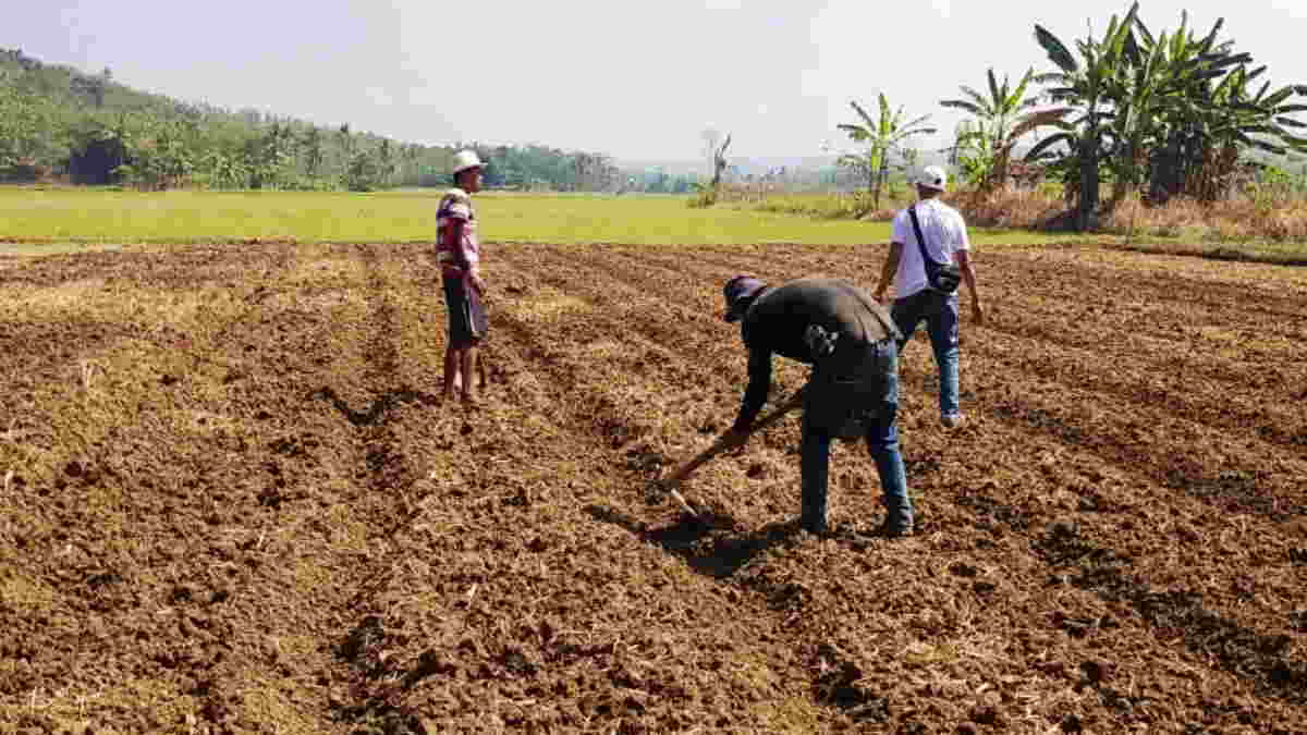 Kewirausahaan Berbasis Pertanian: Peluang dan Tantangan di Desa Bendasari