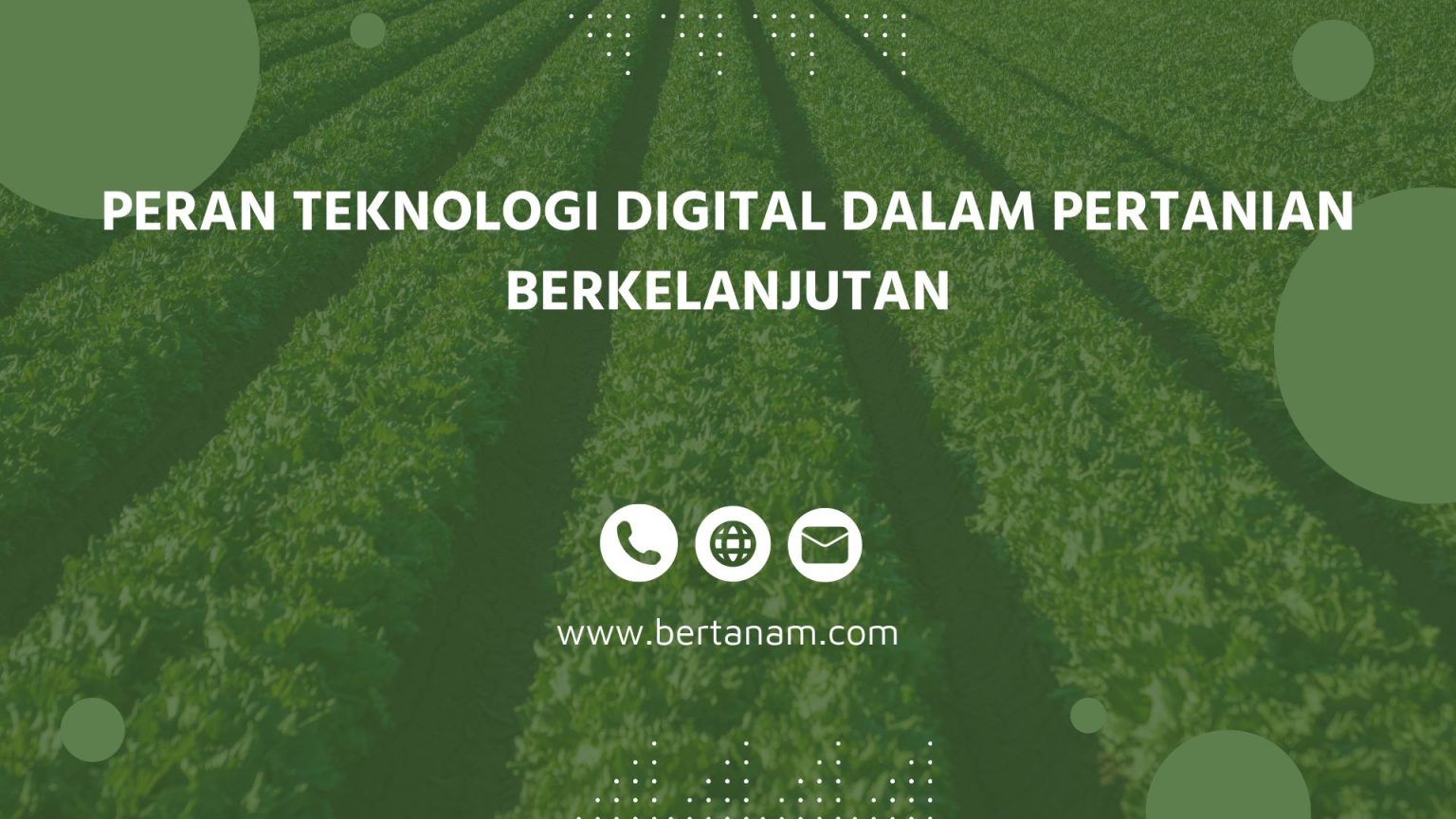 Peran Teknologi dalam Pertanian Berkelanjutan di Desa Cikoneng