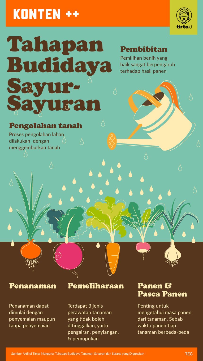 Mengoptimalkan Hasil Pertanian melalui Metode Budi Daya Tanaman yang Efektif