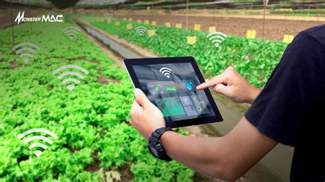 Mengoptimalkan Penggunaan Air dalam Produksi Tanaman Pangan