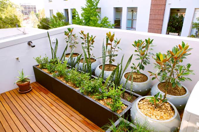 Perumahan Berkebun: Menumbuhkan Hobi dan Makanan Sendiri