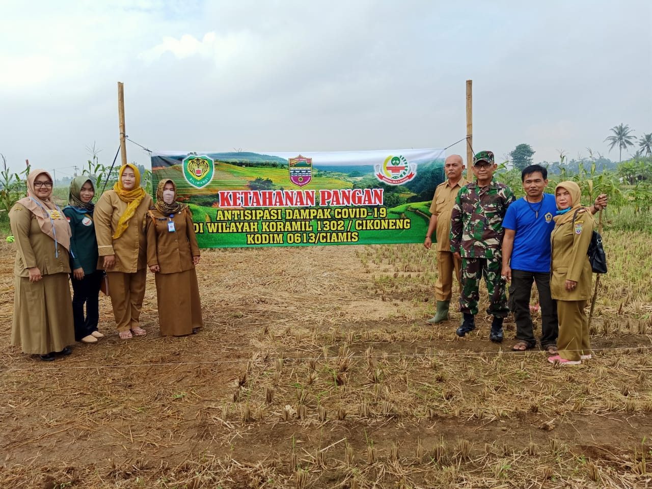 Peluang dan Tantangan Agribisnis Tanaman Pangan di Desa Cikoneng, Kabupaten Ciamis