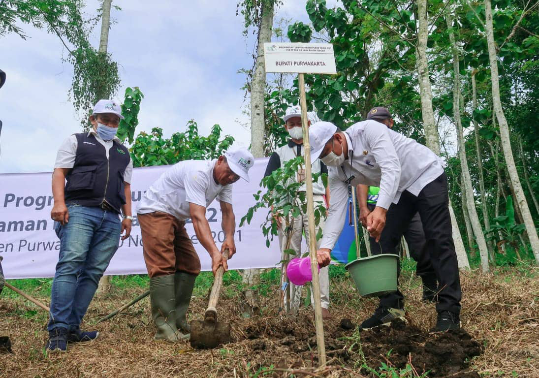 Memulai Program Penanaman Pohon di Desa Cikoneng: Menghijaukan Lingkungan