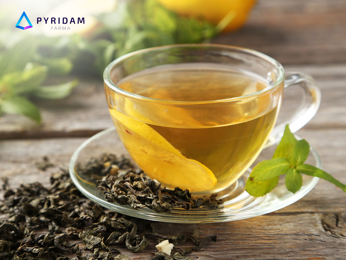 Kombinasi Minuman Teh Hijau dan Madu: Manfaat dan Kelezatan di Desa Cikoneng