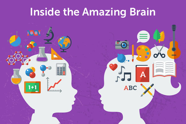 Penggunaan Metode Pengajaran Berbasis Brain-Based Learning untuk Meningkatkan Kinerja Siswa