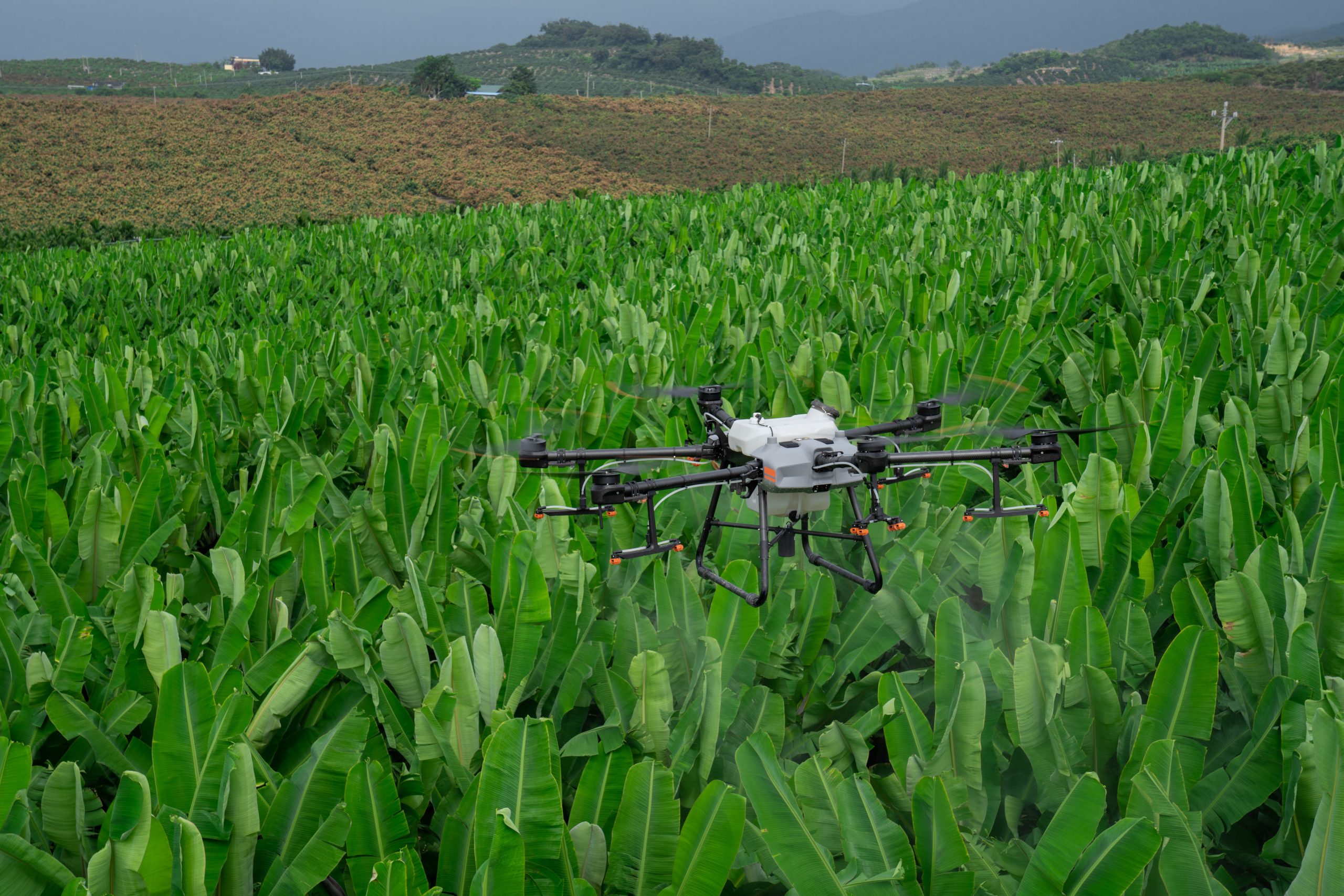 Cerita Warga yang Memanfaatkan Drone untuk Pertanian