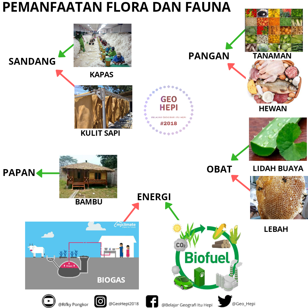 Program Desa Bendasari untuk Melindungi Flora dan Fauna Langka di Wilayahnya