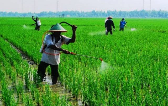 Pestisida dan Perubahan Iklim: Keterkaitan yang Kompleks