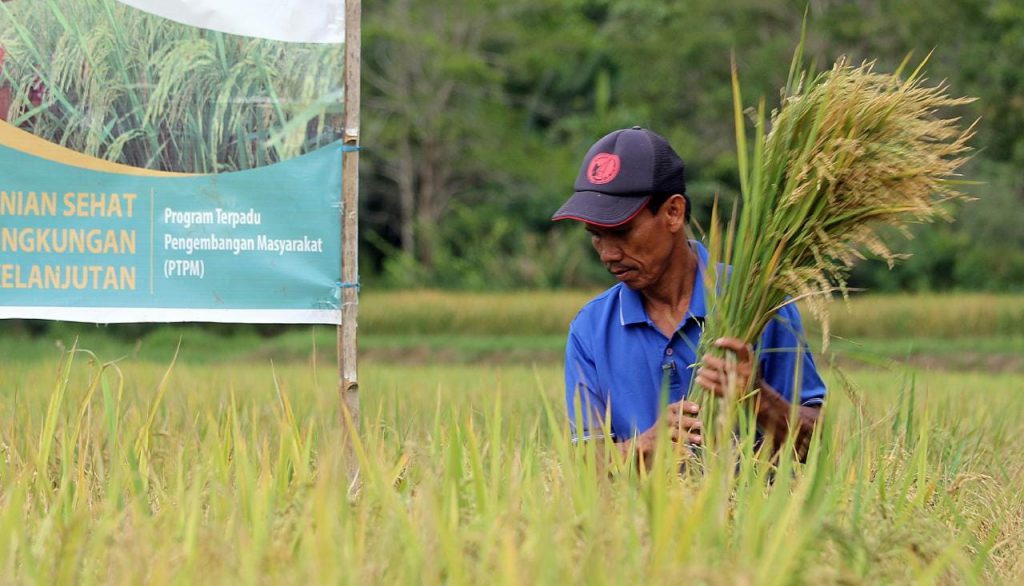 Desa Bendasari Mengembangkan Sistem Pertanian Terintegrasi untuk Peningkatan Ketahanan Pangan