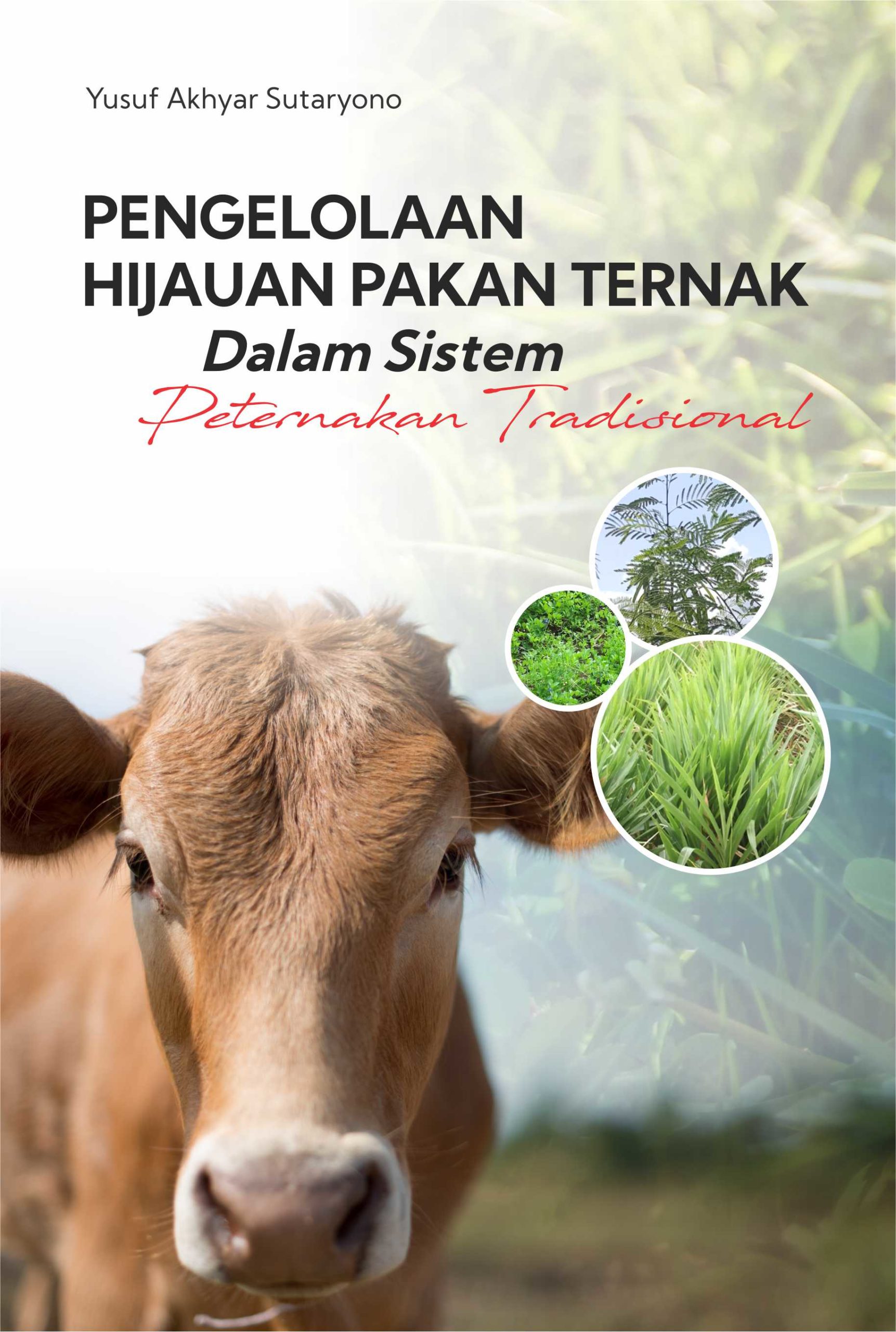 Teknik Pemberian Pakan yang Tepat untuk Ternak di Kandang di Desa Cikoneng