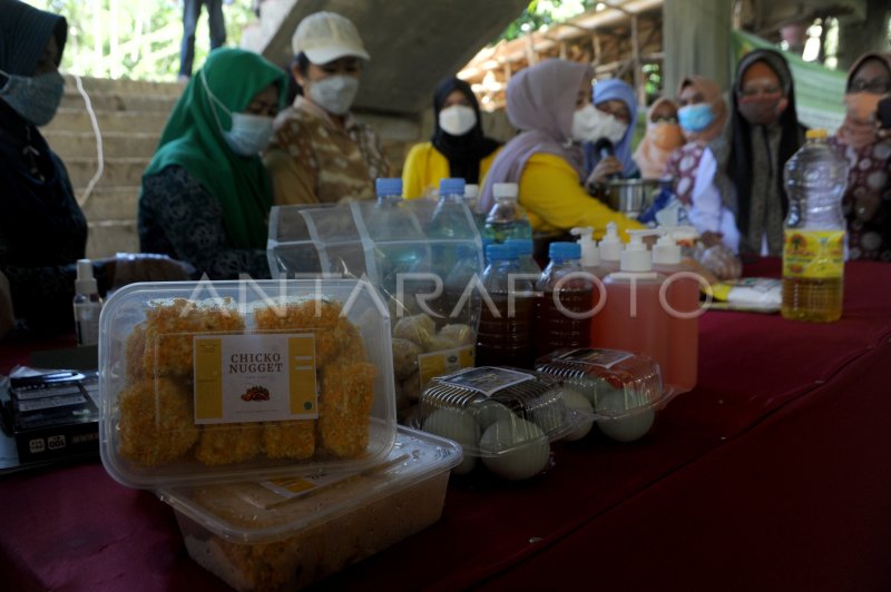 Pelatihan Keterampilan Berkomunikasi Antarbudaya untuk Masyarakat Desa Bendasari
