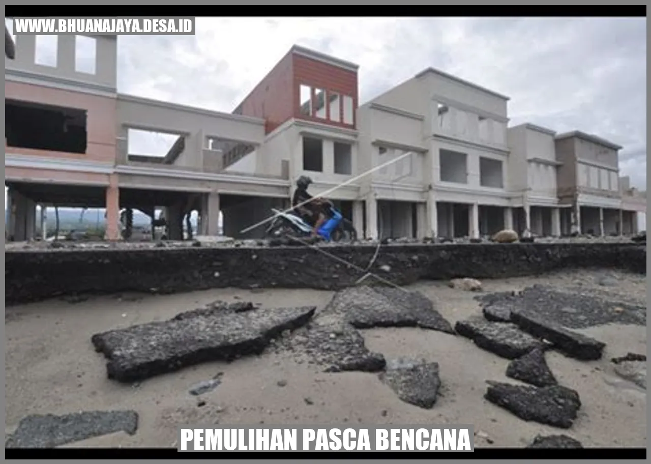 Desa Bendasari Mengadakan Penyuluhan tentang Pemulihan Pasca Bencana
