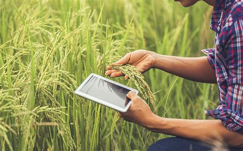 Pemanfaatan Teknologi untuk Meningkatkan Produktivitas Pertanian di Desa Bendasari