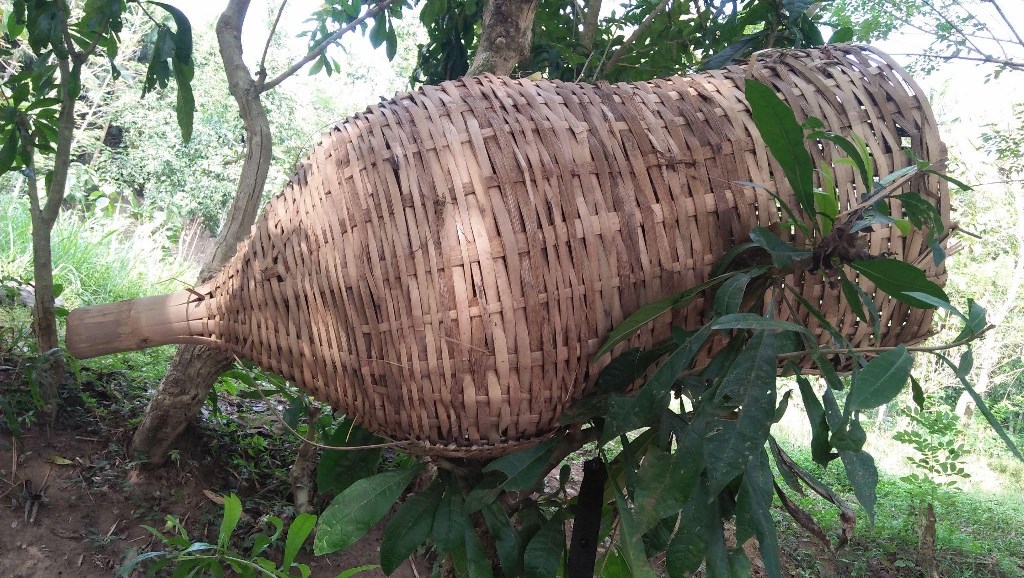 Tradisi Memancing Bersama di Desa Bendasari